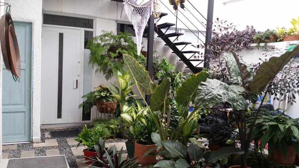 Moonshine Boutique Hostal Cali Buitenkant foto